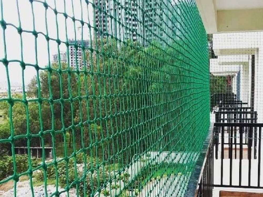 Pigeon Net in Gurgaon